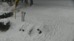 Běžecký lyžařský areál Nová Ves - horní část