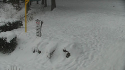 Běžecký lyžařský areál Nová Ves - horní část