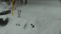 Běžecký lyžařský areál Nová Ves - horní část