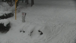 Běžecký lyžařský areál Nová Ves - horní část