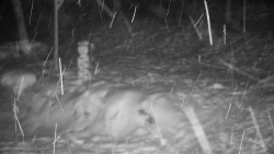 Běžecký lyžařský areál Nová Ves - horní část