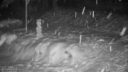 Běžecký lyžařský areál Nová Ves - horní část