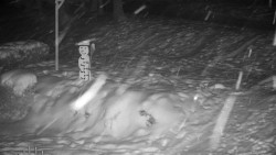 Běžecký lyžařský areál Nová Ves - horní část