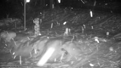 Běžecký lyžařský areál Nová Ves - horní část