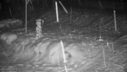 Běžecký lyžařský areál Nová Ves - horní část