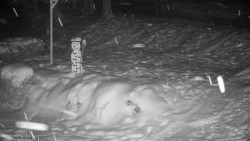 Běžecký lyžařský areál Nová Ves - horní část