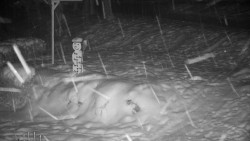 Běžecký lyžařský areál Nová Ves - horní část