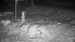 Běžecký lyžařský areál Nová Ves - horní část