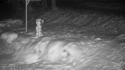 Běžecký lyžařský areál Nová Ves - horní část