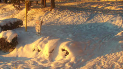 Běžecký lyžařský areál Nová Ves - horní část