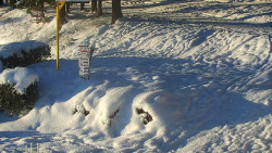 Běžecký lyžařský areál Nová Ves - horní část