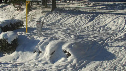 Běžecký lyžařský areál Nová Ves - horní část