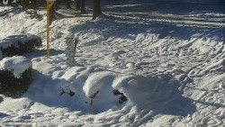 Běžecký lyžařský areál Nová Ves - horní část