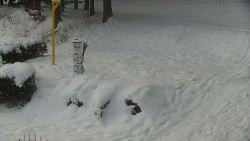 Běžecký lyžařský areál Nová Ves - horní část