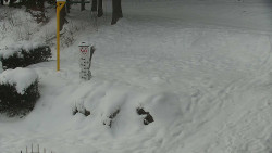 Běžecký lyžařský areál Nová Ves - horní část