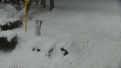 Běžecký lyžařský areál Nová Ves - horní část