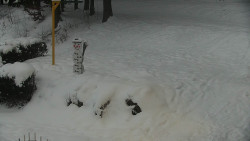 Běžecký lyžařský areál Nová Ves - horní část