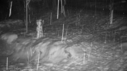 Běžecký lyžařský areál Nová Ves - horní část