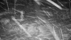 Běžecký lyžařský areál Nová Ves - horní část