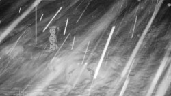 Běžecký lyžařský areál Nová Ves - horní část