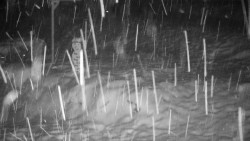 Běžecký lyžařský areál Nová Ves - horní část