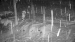 Běžecký lyžařský areál Nová Ves - horní část