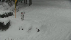 Běžecký lyžařský areál Nová Ves - horní část