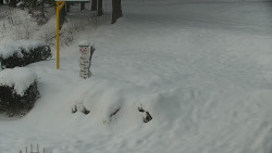 Běžecký lyžařský areál Nová Ves - horní část