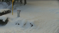 Běžecký lyžařský areál Nová Ves - horní část