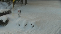 Běžecký lyžařský areál Nová Ves - horní část