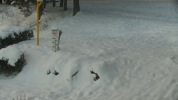 Běžecký lyžařský areál Nová Ves - horní část