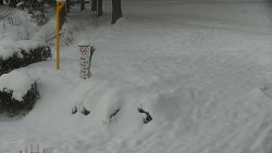 Běžecký lyžařský areál Nová Ves - horní část