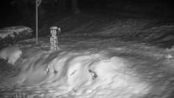 Běžecký lyžařský areál Nová Ves - horní část