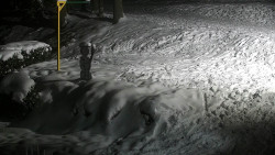 Běžecký lyžařský areál Nová Ves - horní část