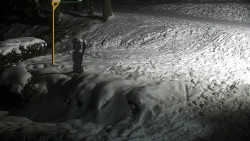 Běžecký lyžařský areál Nová Ves - horní část