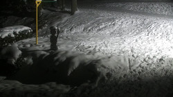 Běžecký lyžařský areál Nová Ves - horní část