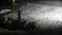 Běžecký lyžařský areál Nová Ves - horní část