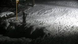 Běžecký lyžařský areál Nová Ves - horní část