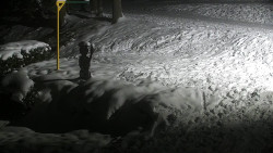 Běžecký lyžařský areál Nová Ves - horní část