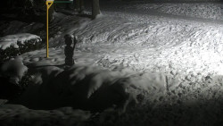 Běžecký lyžařský areál Nová Ves - horní část