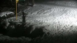 Běžecký lyžařský areál Nová Ves - horní část