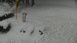 Běžecký lyžařský areál Nová Ves - horní část