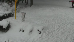 Běžecký lyžařský areál Nová Ves - horní část