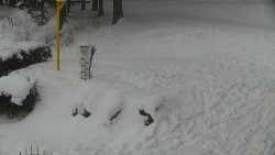 Běžecký lyžařský areál Nová Ves - horní část