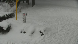 Běžecký lyžařský areál Nová Ves - horní část