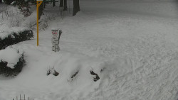 Běžecký lyžařský areál Nová Ves - horní část