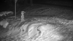 Běžecký lyžařský areál Nová Ves - horní část