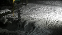 Běžecký lyžařský areál Nová Ves - horní část