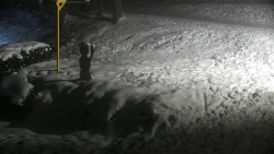 Běžecký lyžařský areál Nová Ves - horní část