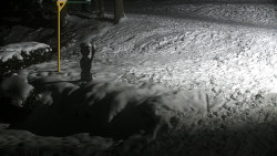 Běžecký lyžařský areál Nová Ves - horní část